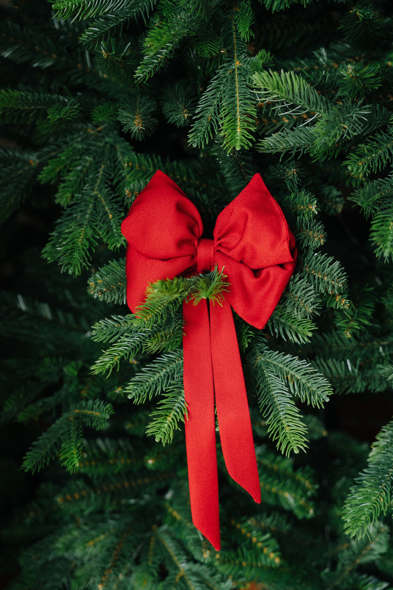 RAUDONAS KASPINAS 3vnt.