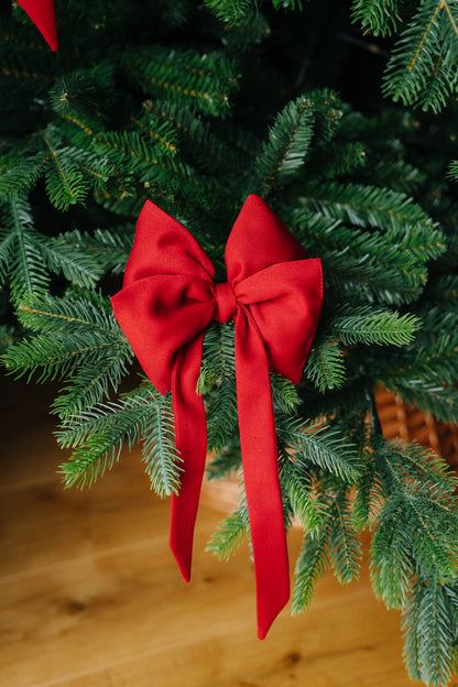 RAUDONAS KASPINAS 3vnt.