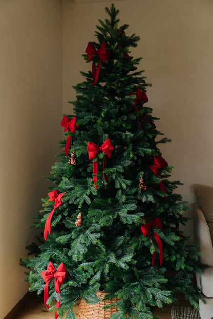 RAUDONAS KASPINAS 3vnt.